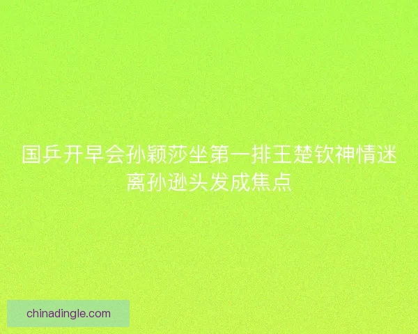 国乒开早会孙颖莎坐第一排王楚钦神情迷离孙逊头发成焦点